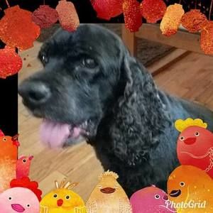 Meet your Posher, Cornell